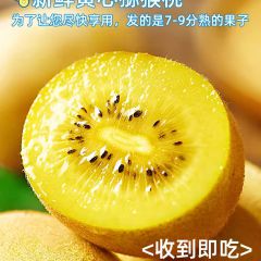 四川黄心猕猴桃新鲜当应季水果整箱包邮孕妇金大野生奇异果弥猴桃